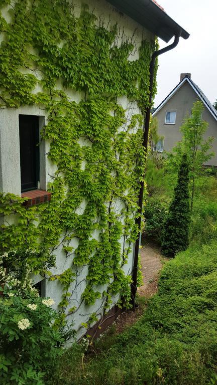 Haus Seefeld 우케리츠 외부 사진